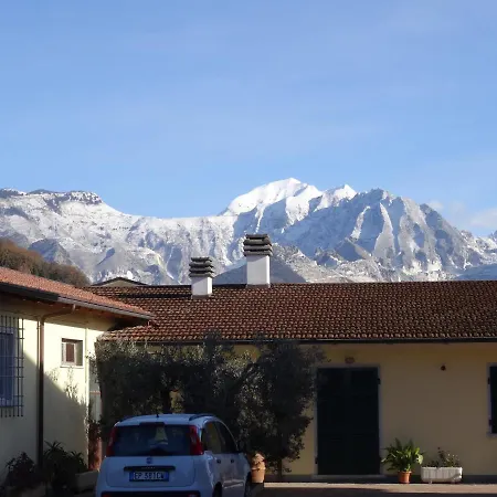 Merlo d'Oro-3